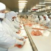 En los primeros diez meses del aÃ±o las exportaciones chilenas de salmÃ³n superaron en 215% a las colocaciones argentinas de carne vacuna