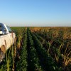 En el primer mes del aÃ±o los patentamientos de camionetas agropecuarias crecieron un 85%