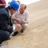 Malas noticias: China necesita comprar soja sudamericana barata para compensar las perdidas generadas con la mercaderÃ­a estadounidense