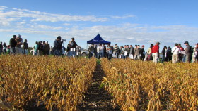 Operativo consenso: Agroindustria comparte el anteproyecto de Ley de Semillas con representantes de la cadena agrÃ­cola para intentar unificar criterios