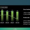 La producciÃ³n de soja argentina en la presente campaÃ±a serÃ­a la mÃ¡s baja desde 2012/13