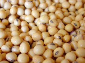 Carpe diem: EE.UU. se ve obligado a subir los precios de la soja para evitar quedarse sin stock