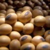 Esta semana el precio de la soja pizarra Rosario no se publicÃ³ justo en el dÃ­a en el que se negociaron los mÃ¡ximos valores