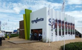 Productores argentinos proponen un â€œboicotâ€ contra Syngenta