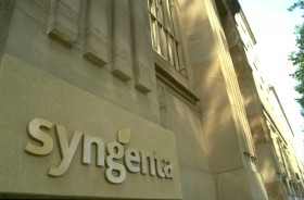 Segundo juicio contra Syngenta por daÃ±os generados por la comercializaciÃ³n de maÃ­z Agrisure Viptera: esta vez fue un exportador de granos destilados