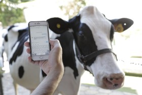 Inteligencia artificial aplicada al agro: â€œAsÃ­ como podemos hablar con las vacas, maÃ±ana vamos a poder hacerlo con la soja o las cosechadorasâ€