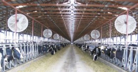 El tambo estabulado de Adecoagro ya cuenta con mÃ¡s de 6000 vacas que producen 34 litros diarios por cabeza