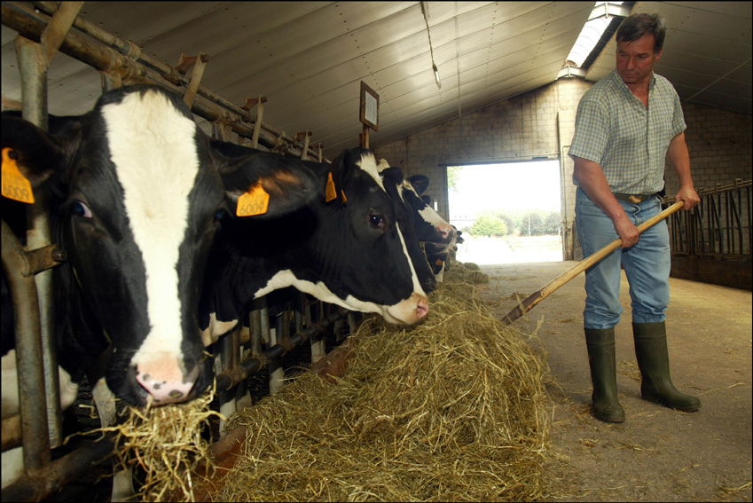 Casi 44.000 tamberos europeos aceptaron recibir subsidios para reducir voluntariamente la oferta de leche