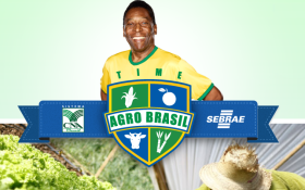 Brasil: la principal entidad agropecuaria y el gobierno armaron con PelÃ© una campaÃ±a a favor del campo que costÃ³ 17 M/u$s
