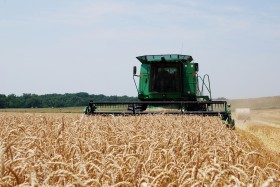 Vender trigo en cosecha se anota en el ranking de los peores negocios del aÃ±o: la retenciÃ³n efectiva supera el 35%