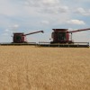 El mercado a tÃ©rmino: una de las pocas alternativas para vender trigo condiciÃ³n cÃ¡mara ante la retirada de los exportadores