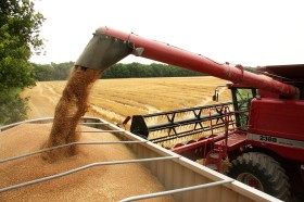 Aparecieron las primeras ofertas de trigo segregado en la regiÃ³n pampeana: se prevÃ©n bajos niveles de proteÃ­na por sÃºper rindes en la zona nÃºcleo