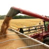 En apenas tres dÃ­as el gobierno recaudÃ³ casi 29 millones de dÃ³lares con retenciones anticipadas de trigo