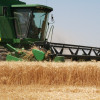 Productores que quieran acceder al crÃ©dito â€œpara la inversiÃ³n productivaâ€ con una tasa del 30% deberÃ¡n vender el 95% de su cosecha de trigo