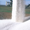 Buena noticia para los productores de cereales: se derrumbÃ³ el precio internacional de la urea granulada