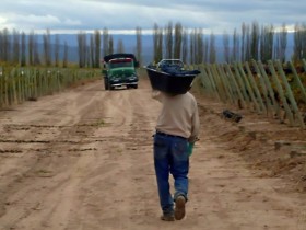 FederaciÃ³n Agraria solicitÃ³ al gobierno mendocino que salga a comprar uvas para evitar una crisis terminal en el sector vitivinÃ­cola
