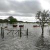 Investigadores del INTA Castelar alertaron dos meses atrÃ¡s que se preveÃ­an sÃºper lluvias en las zonas ahora inundadas: pocos le prestaron atenciÃ³n