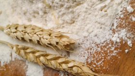 Por la sequÃ­a comercial el trigo argentino estÃ¡ operando prÃ¡cticamente sin derechos de exportaciÃ³n