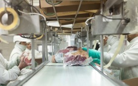 Apenas cinco grupos empresarios concentran el 60% de las exportaciones argentinas de carne bovina